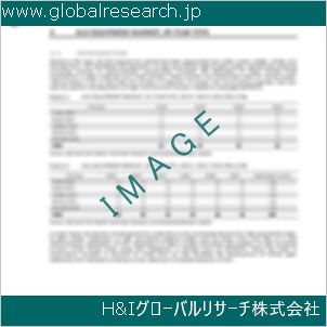 グローバルリサーチ調査資料のイメージ